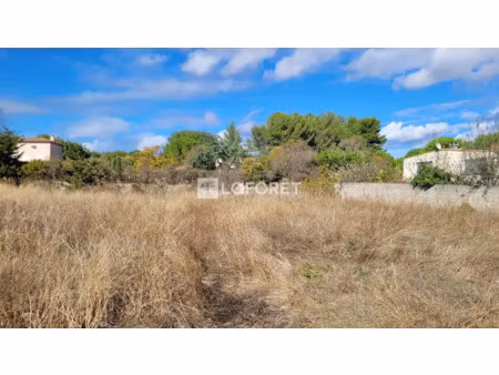 vente terrain 1000 m² à castelnau-le-lez (34170)  495 000 €