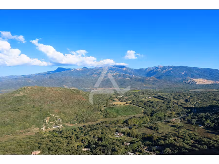 vente terrain 8400 m² à figari (20114)  333 400 €