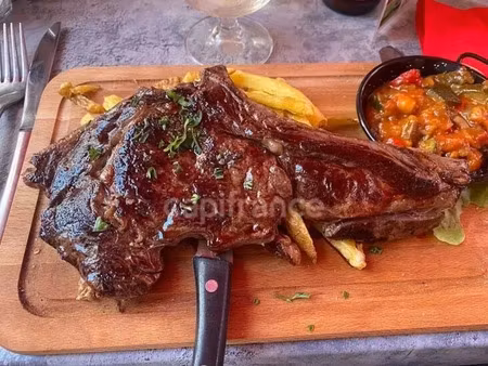 gard (30) le grau-du-roi (30240) à vendre fonds de commerce de restaurant 450 000 € ca 100