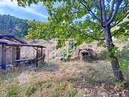 à vendre maison avec 3 appartements et dépendances à la co