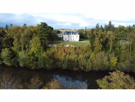 château à vendre à saint-martin-sur-oust : 1 350 000 € | 820m²