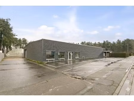 commercieel te huur in sijsele