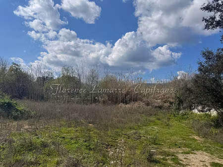 terrain à vendre speloncato 990m2 178 000€