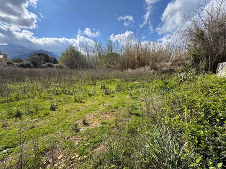 terrain à vendre speloncato 990m2 183 900€