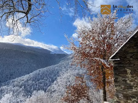 vente maison 4 pièces 98 m² à barrancoueu (65240)  159 000 €