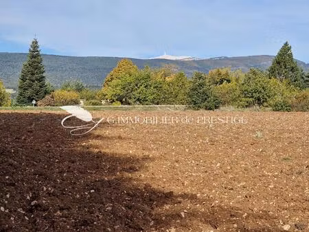 un terrain d’exception avec vue sur le mont ventoux.