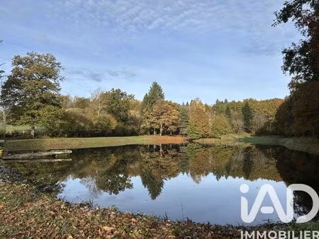 vente terrain 14670 m² chamboulive (19450)