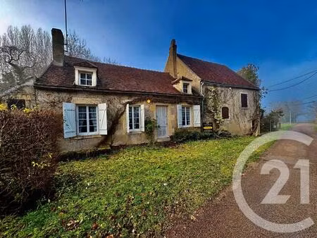 achat : maison (58210)