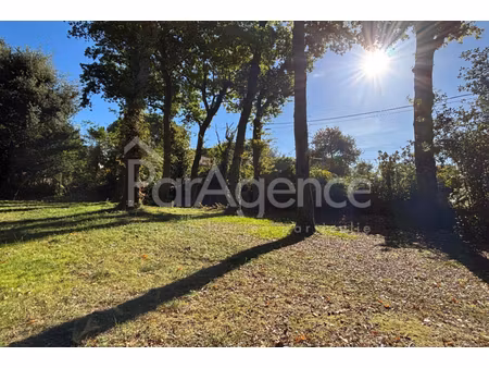 annonce terrain à vendre
