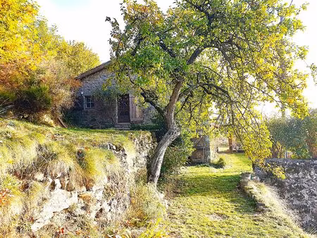 belle et grande maison en pierre du 19 eme siècle à mezilhac (07)