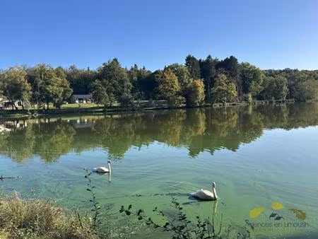 vente maison 5 pièces 172 m² la geneytouse (87400)