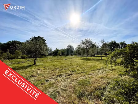 vente terrain 6488 m² à saint-fargeau (89170)  54 900 €