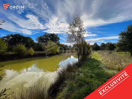 vente terrain 6488 m² à saint-fargeau (89170)  59 000 €