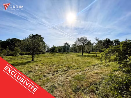 vente terrain 6488 m² saint-fargeau (89170)