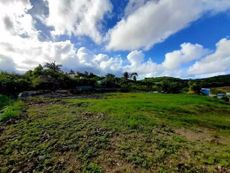 vente terrain 1000 m² à le vauclin (97280)  168 000 €