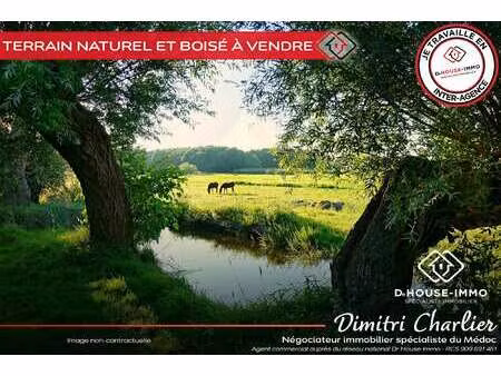 vente terrain à saint-vivien-de-médoc (33590) : à vendre / 40000m² saint-vivien-de-médoc