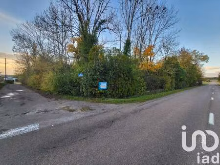 vente terrain à vendeuvre-sur-barse (10140) : à vendre / 5466m² vendeuvre-sur-barse