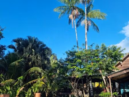 maison de charme avec piscine et carbet