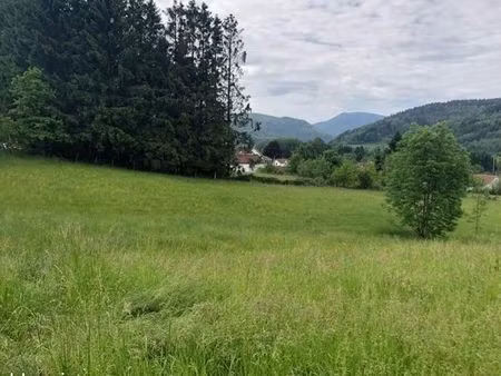 terrain 3 765 m² fraize