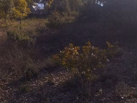 terrain bois et landes verdon