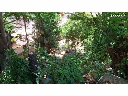 terrain 495 m² basse terre