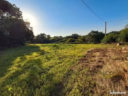 terrain constructible