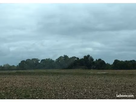 presqu'ile de fouras = terrain non constructible 5200 m2