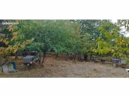 verger clôturé avec mare