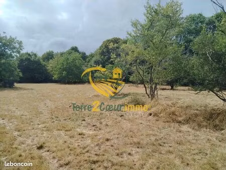 terrain 1781 m² henrichemont