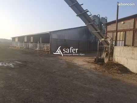 maison avec terrain 134 m² trézelles