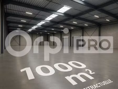 local commercial 1 000 m²
