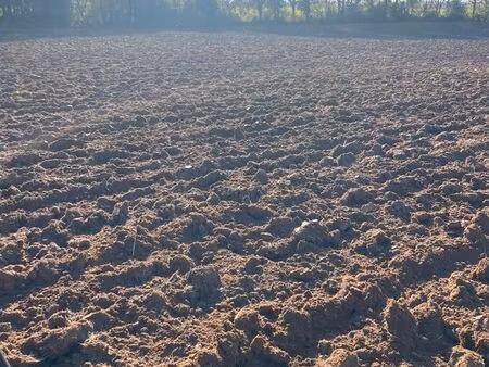 terre agricole champs