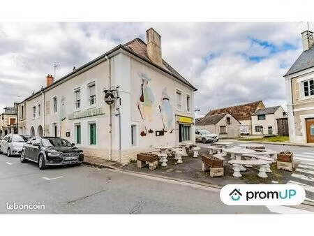 maison 9 pièces 295 m²