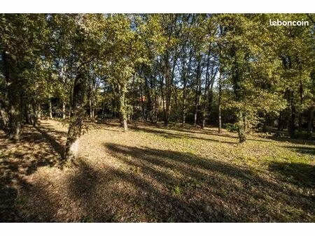 terrain bouloc 1010 m2 89 000