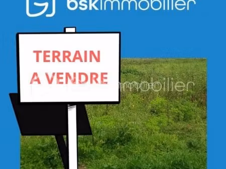 terrain 1 000 m² neuville sur brenne