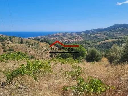 terrain 11820 m² banyuls-sur-mer