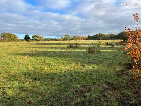 pré pour animaux ou foin