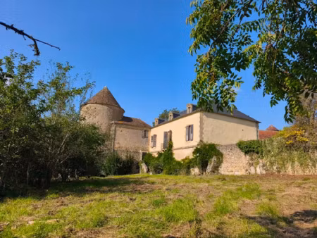 vente château 11 pièces 230 m² à montigny-sur-canne (58340)  441 000 €