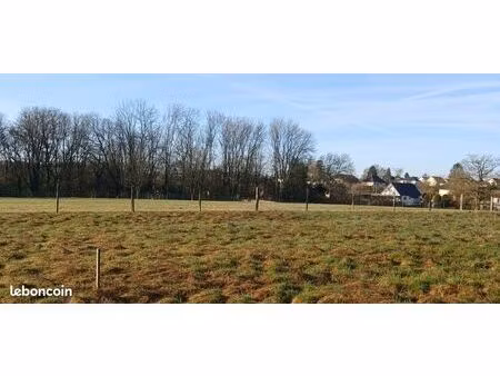 terrain 2406 m² angeot