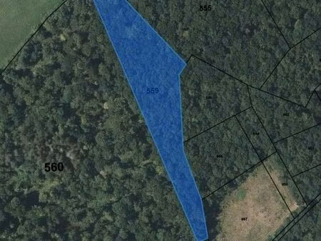 parcelle forestière