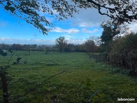 terrain à vendre de 2300 m2 environ proche de champlécy