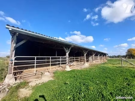 terrain 36115 m² meral