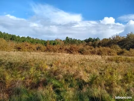 terrain 5800 m2 à sore