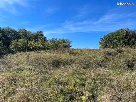 terrain 942 m² realmont