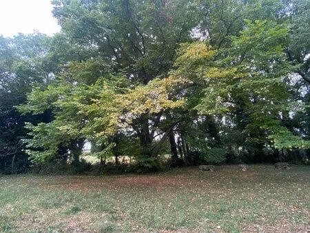 terrain constructible arboré