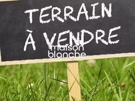 terrain 2020 m² saint-loup-lamairé