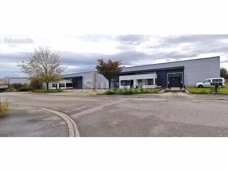 local 2000 m² sélestat