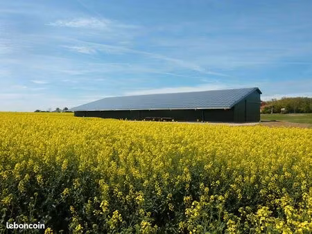 local commercial 1260 m² caraman