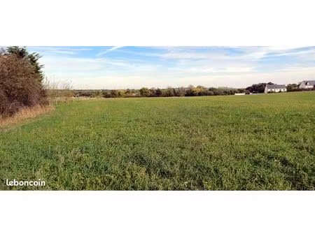 grand terrain de 8000 m² aux portes d'ancenis (35 min de nantes)
