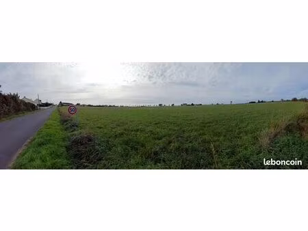 grand terrain de loisir 8100 m² de nature aux portes d'ancenis (35 min de nantes)